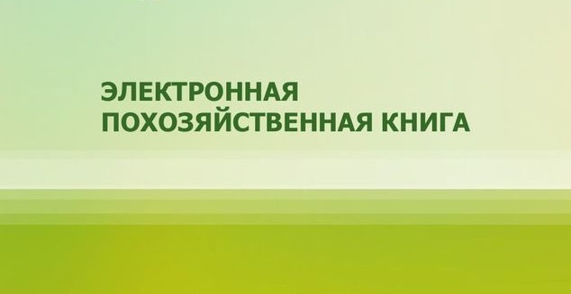 Электронная похозяйственная книга.
